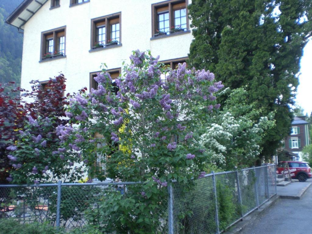 Garni-Gasthaus Elmer Matt ภายนอก รูปภาพ